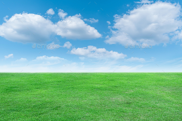 Landscape View Of Green Grass With Bright Blue Sky And Clouds